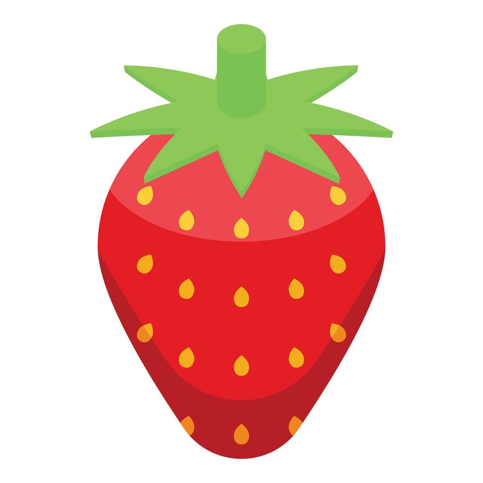 jordgubb ikon isometrisk vektor. bär frukt vektor