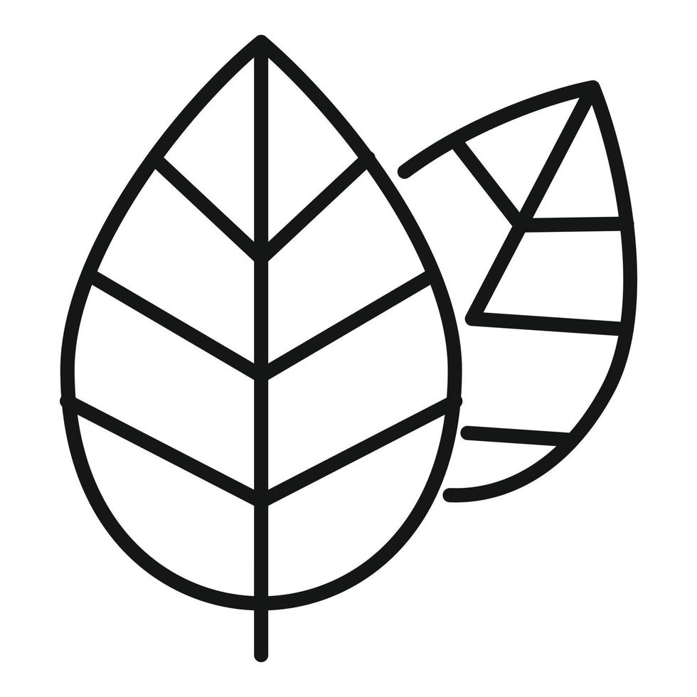 aromatisk basilika mat ikon översikt vektor. ört blad vektor