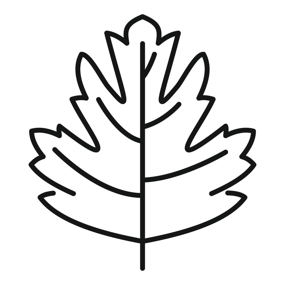 Petersilien-Dill-Symbol-Umrissvektor. Kräuterblatt vektor