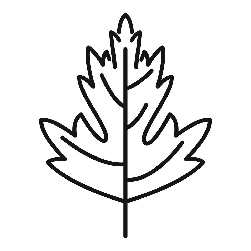 Petersilie garnieren Symbol Umrissvektor. Kräuterpflanze vektor