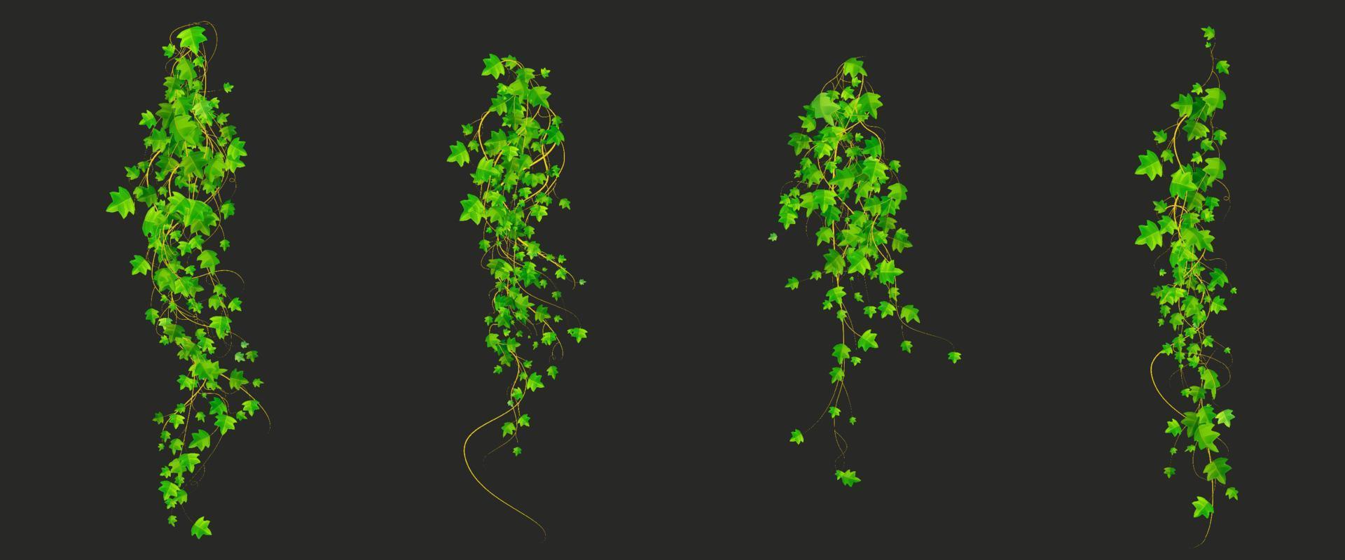 Efeu-Kletterreben mit grünen Pflanzenblättern vektor