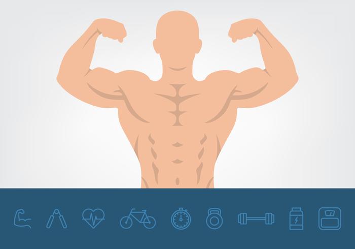 Muskel Und Gesundheit Icons Set vektor