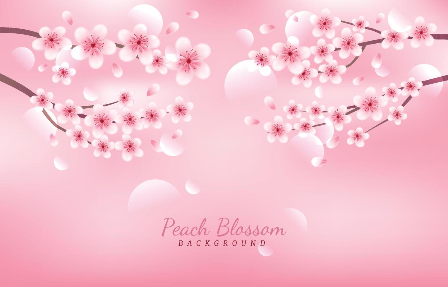 persika blomma blommor söt och tös bakgrund begrepp vektor