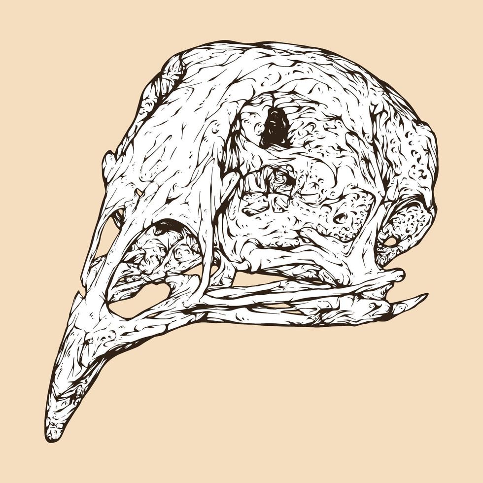 vaktel skalle huvud vektor illustration