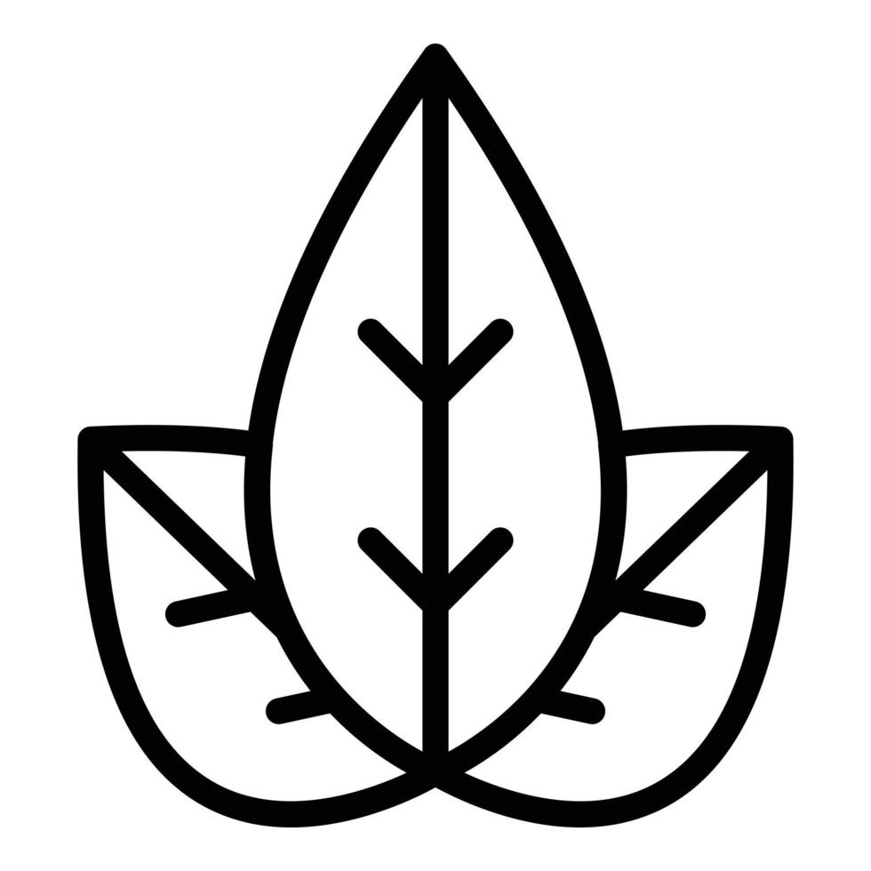 Oregano-Blatt-Symbol Umrissvektor. Kräuterpflanze vektor