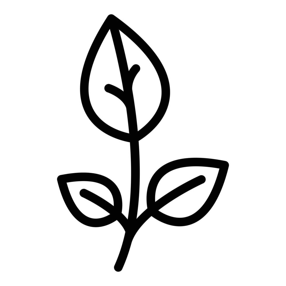 Gewürz-Oregano-Symbol-Umrissvektor. Blattkraut vektor