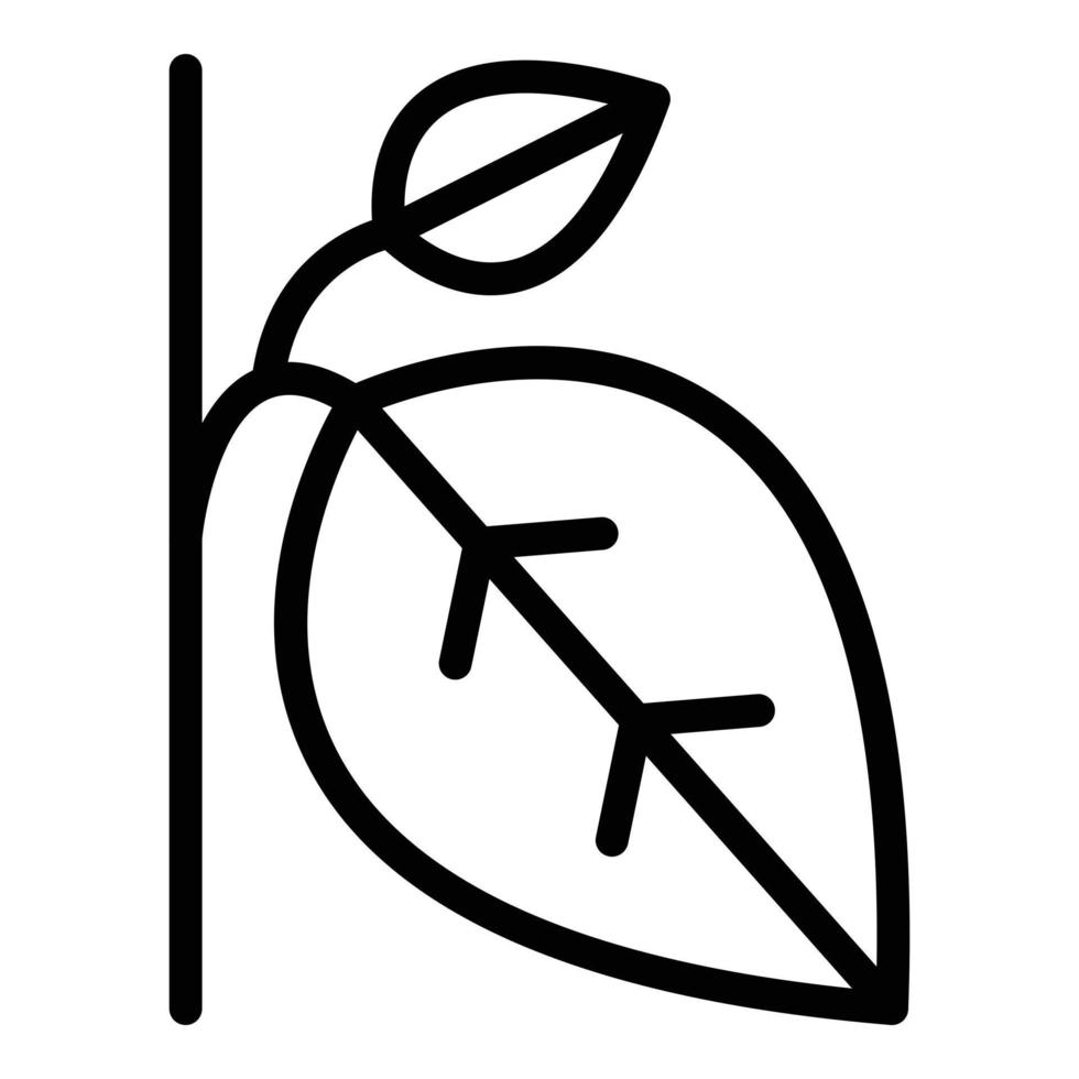 oregano basilika ikon översikt vektor. mat växt vektor