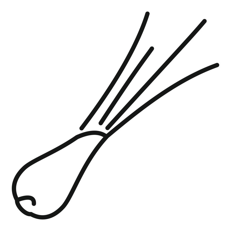 Oregano Schnittlauch Symbol Umrissvektor. chinesische zwiebel vektor