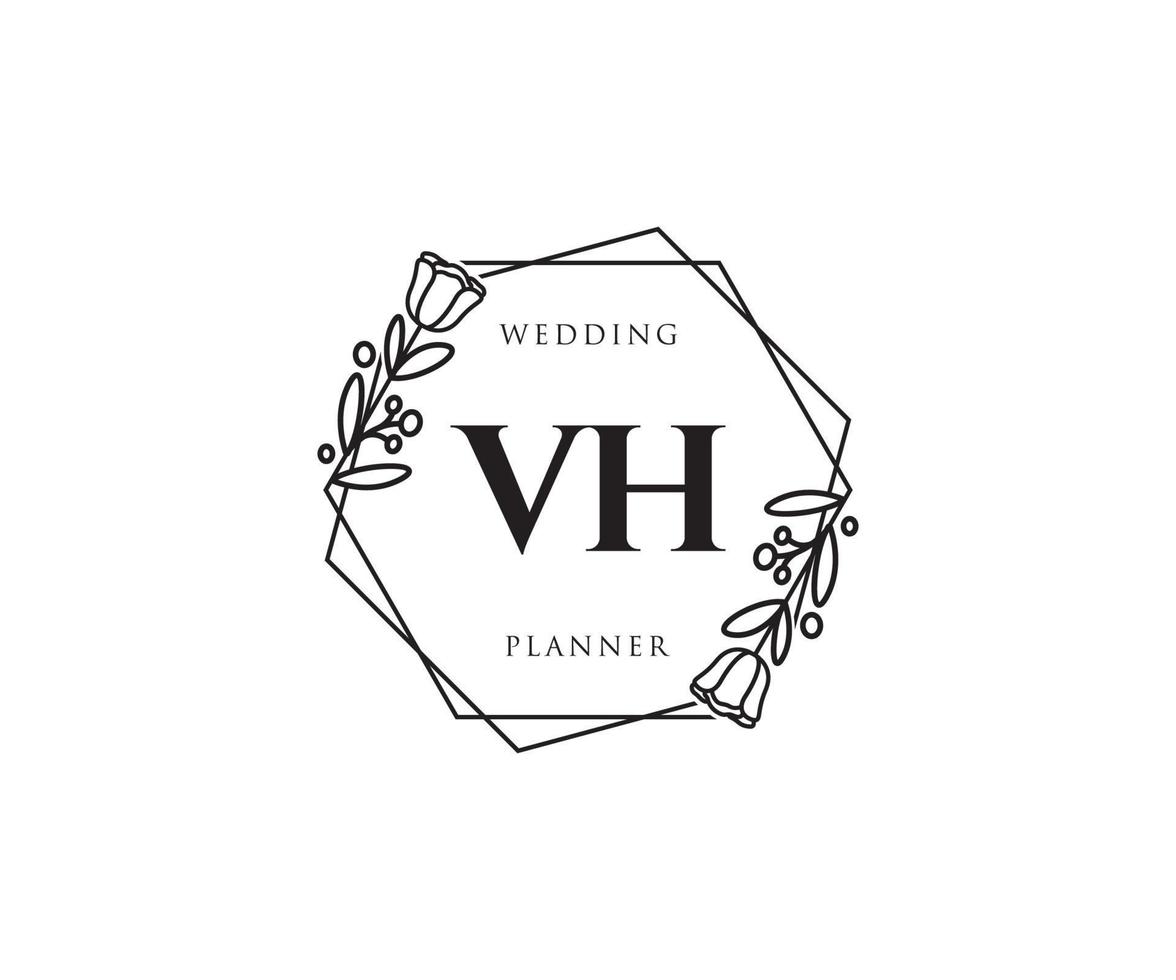 första vh feminin logotyp. användbar för natur, salong, spa, kosmetisk och skönhet logotyper. platt vektor logotyp design mall element.