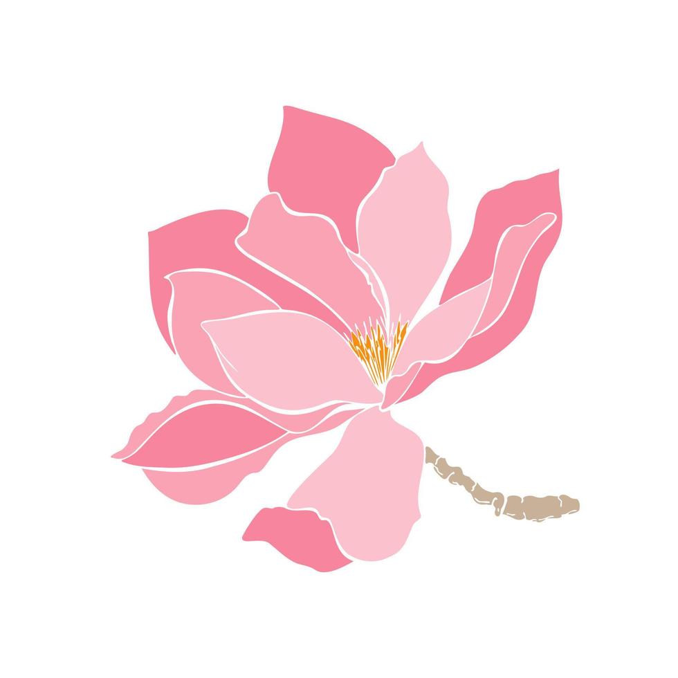 Blühende Magnolie mit pastellrosa Blütenblättern, kein Umriss, Handskizze. für Druck, Aufkleber, Karten, Einladungen, Muster. vektor