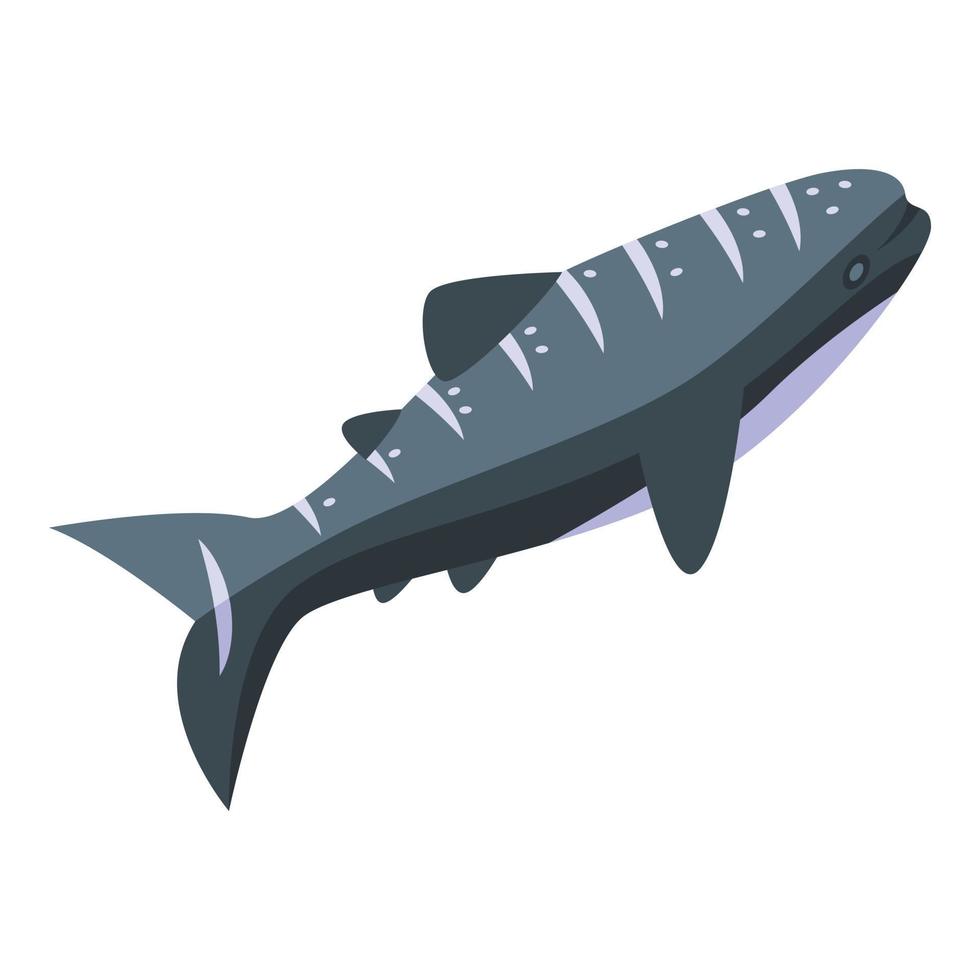 isometrischer vektor des ozeanwalhai-symbols. Aquarienfische