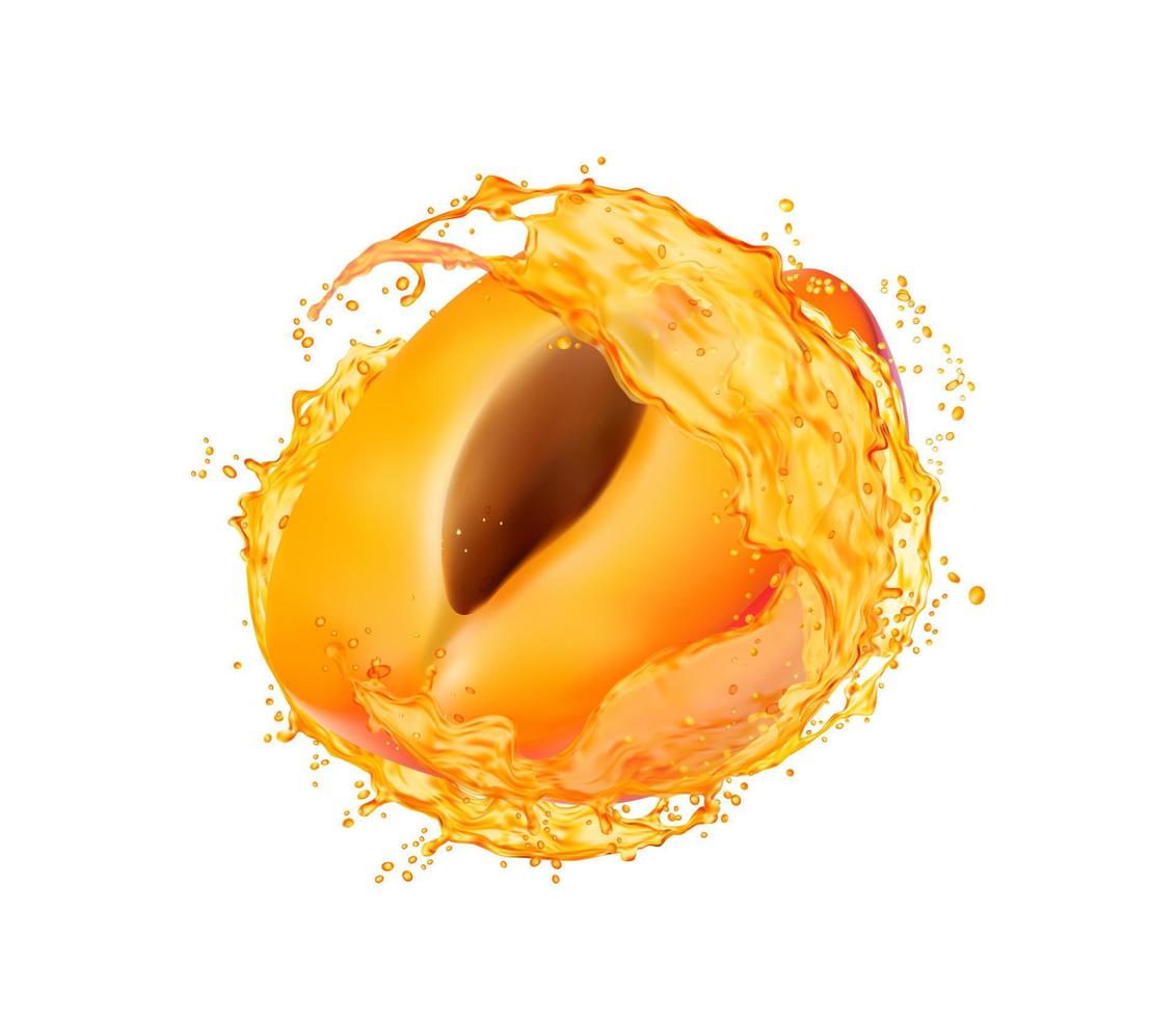 aprikos frukt med juice stänk, uppfriskande virvla runt vektor