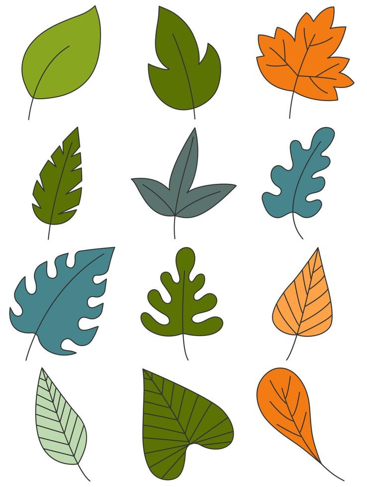Blätter handgezeichneter Symbolvektorsatz isoliert auf weißem Hintergrund, handgezeichnete dekorative Elemente, einfacher handgezeichneter Cartoon-Stil vektor