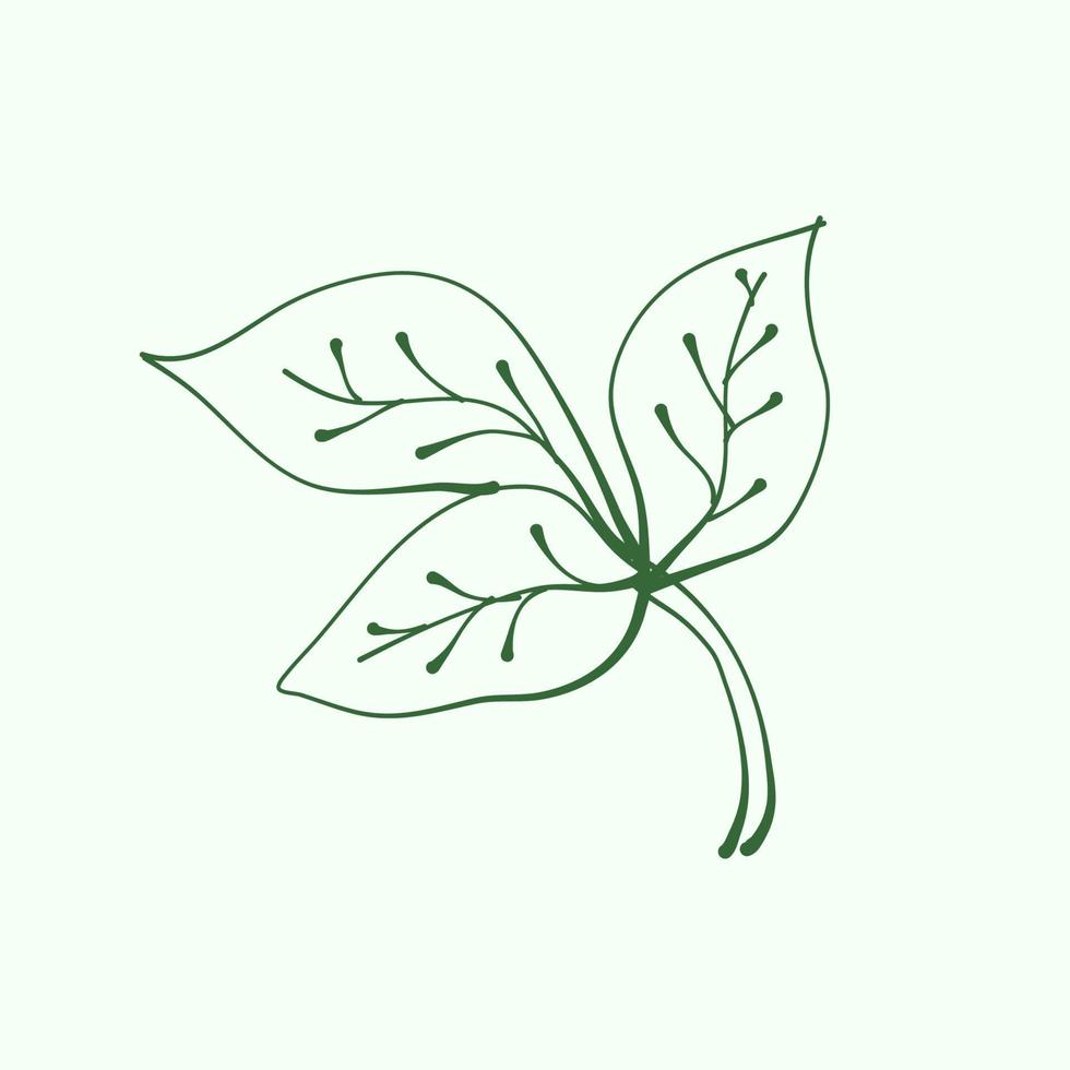 Blattumriss zur Dekoration. Vektor-Blatt-Silhouette. handgezeichnete zweige mit blättern und zweig. Pflanze. vektor