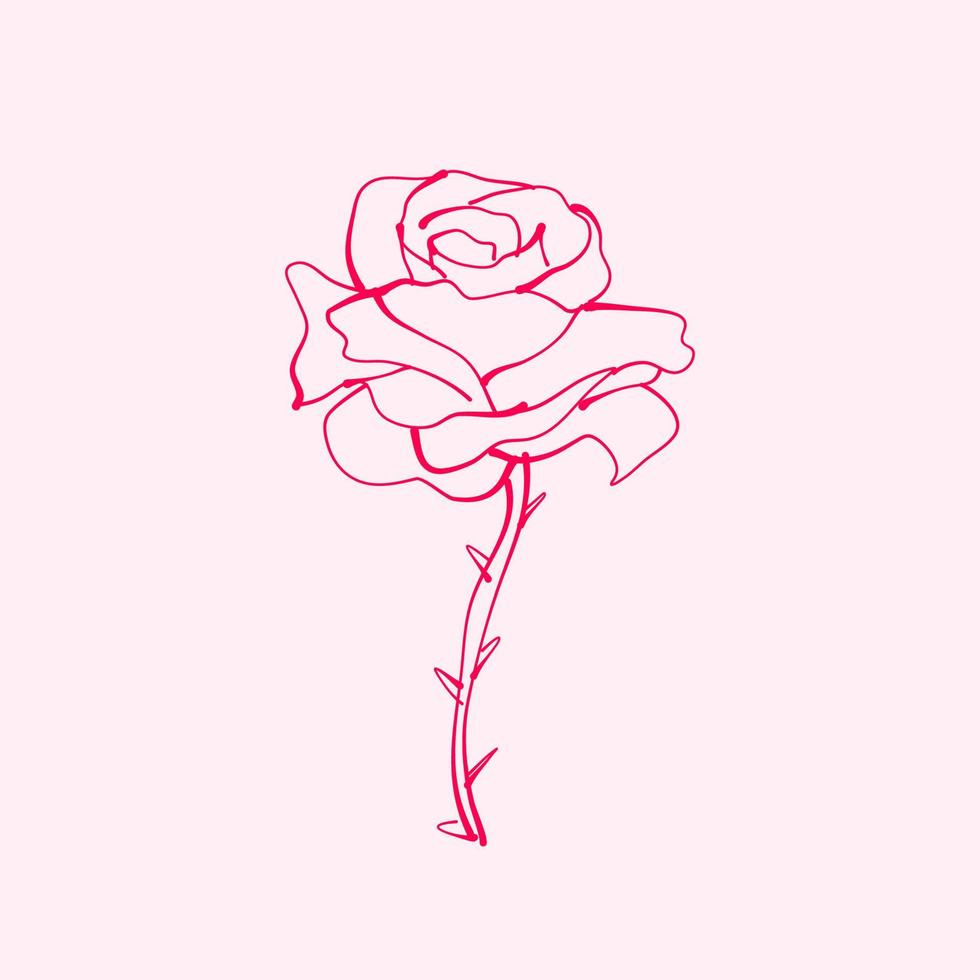 handgezeichnete Rose. Zeichnung der Rosenblüte. rosenblumenillustration im handgezeichneten stil. süße Blume. rosa Umriss. vektor