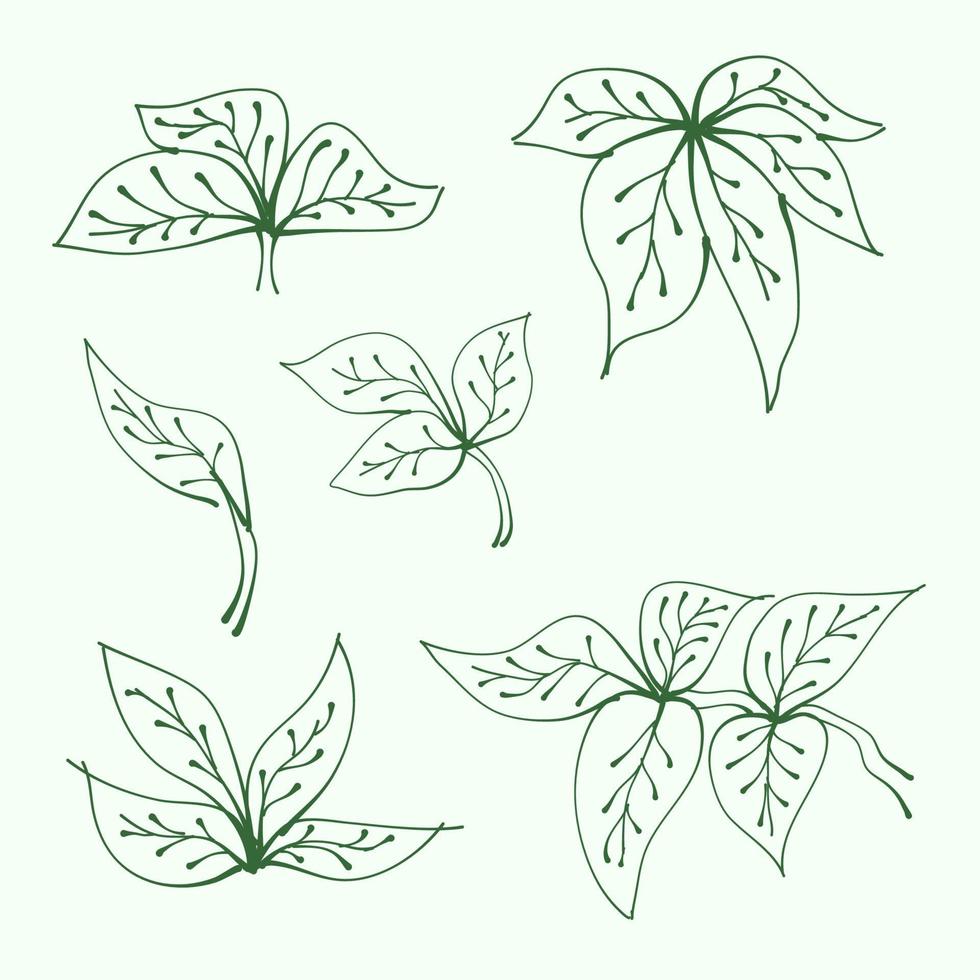 uppsättning av löv. hand dragen grenar med löv och gren. växt. blad översikt för dekoration. vektor samling av blad silhuetter.