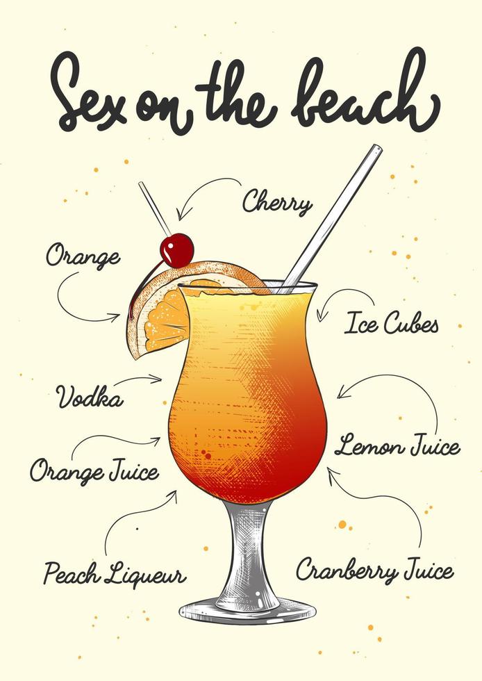 vektor graverat stil sex på de strand cocktail illustration för affischer, dekoration, logotyp och skriva ut. hand dragen skiss med text och recept, dryck Ingredienser. detaljerad färgrik teckning.