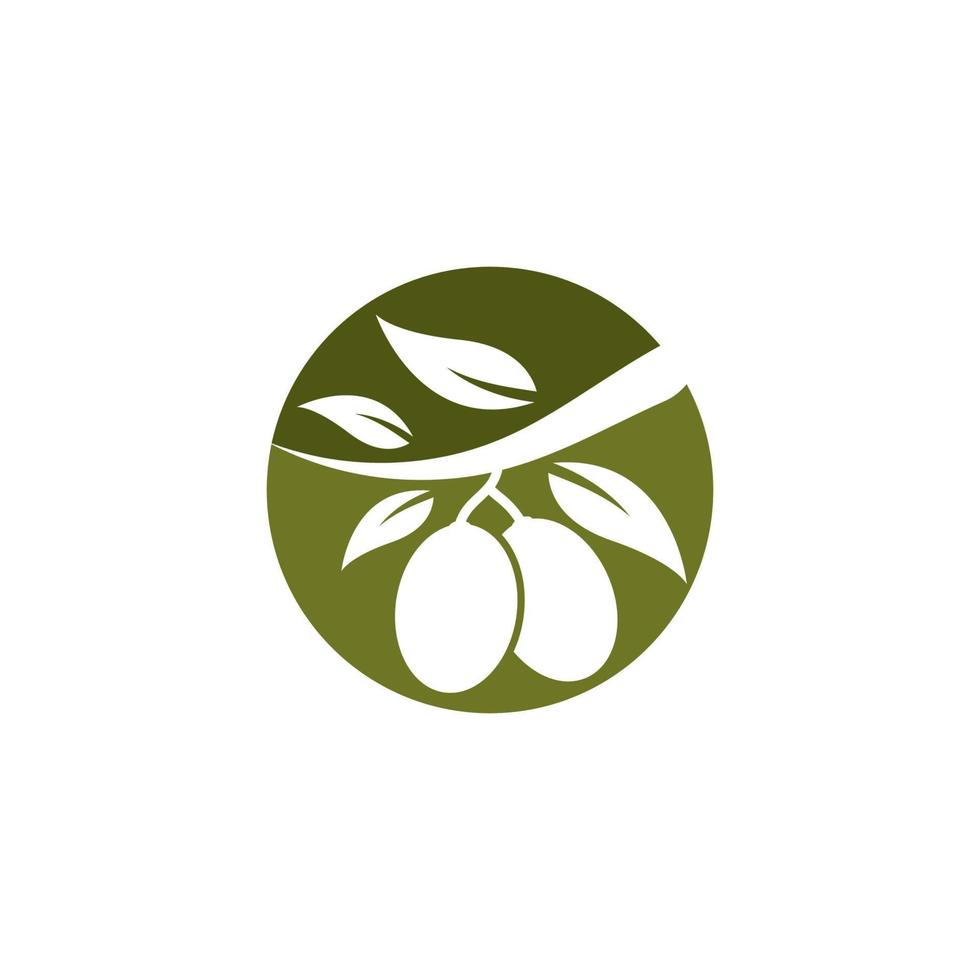 uppsättning av oliv logotyp vektor illustration
