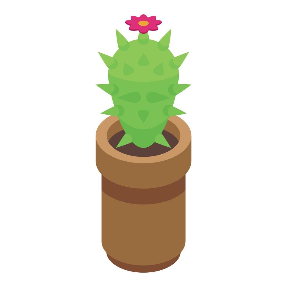 kaktus pott ikon isometrisk vektor. öken- gräs vektor