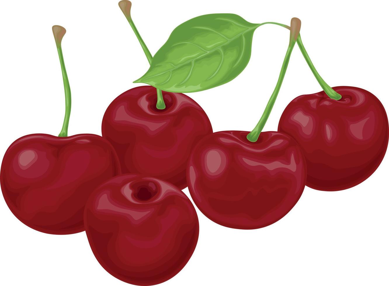 Kirsche. ein Bild einer reifen roten Kirsche. rote Kirschbeeren mit einem grünen Blatt. Garten Beeren. Vektor-Illustration isoliert auf weißem Hintergrund vektor