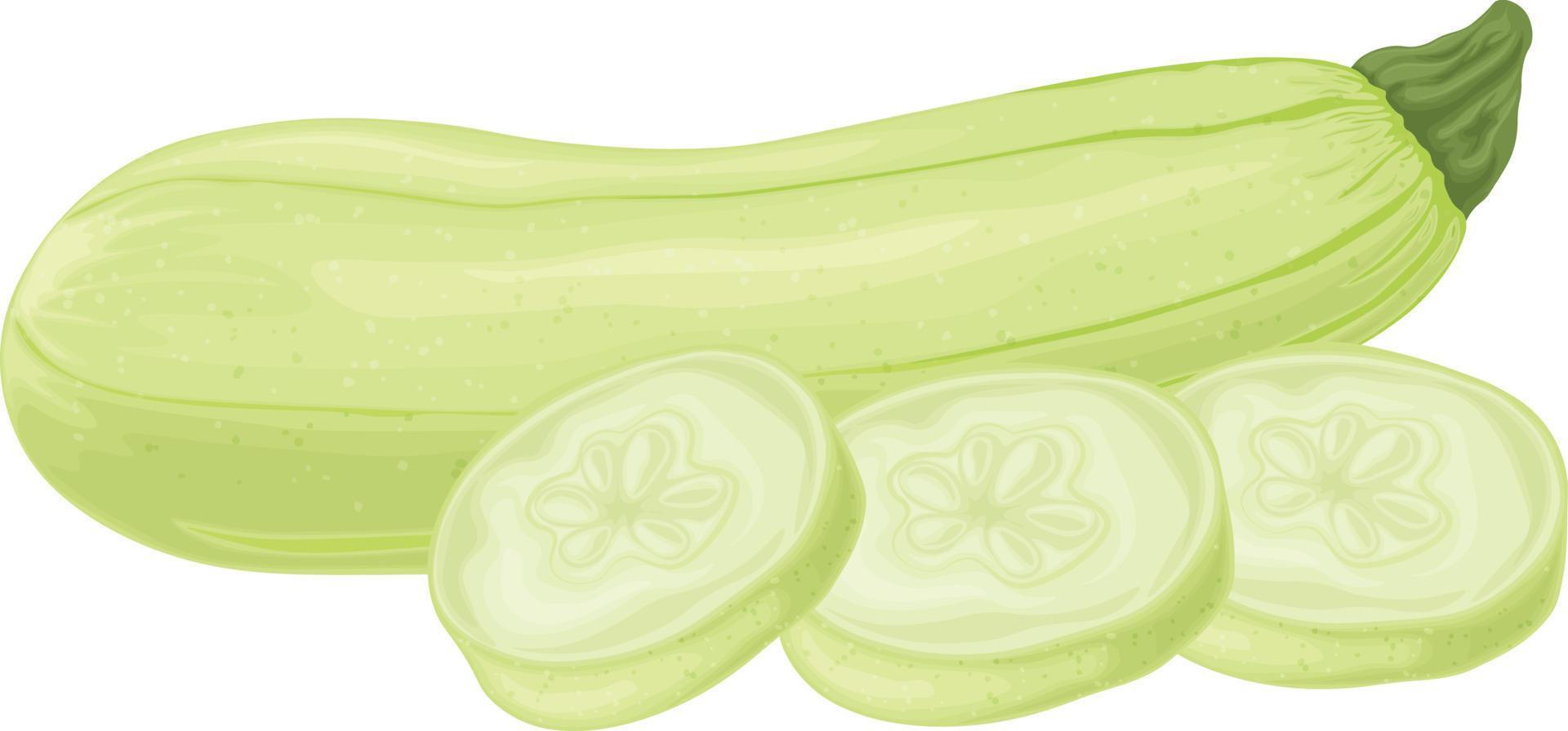 zucchini. bild av skivad zucchini. vegetarian vegetabiliska från de trädgård. bruka grönsaker. vektor illustration isolerat på en vit bakgrund