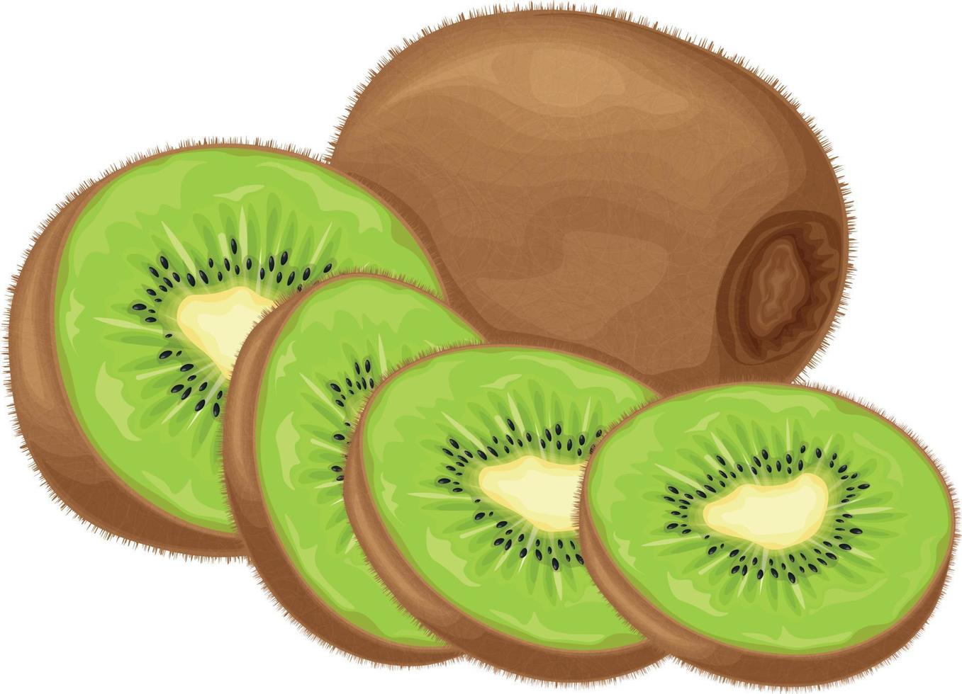 kiwi frukt. mogen kiwi. bild av en mogen kiwi frukt. vitamin frukt. organisk vegetarian Produkter. vektor illustration isolerat på en vit bakgrund