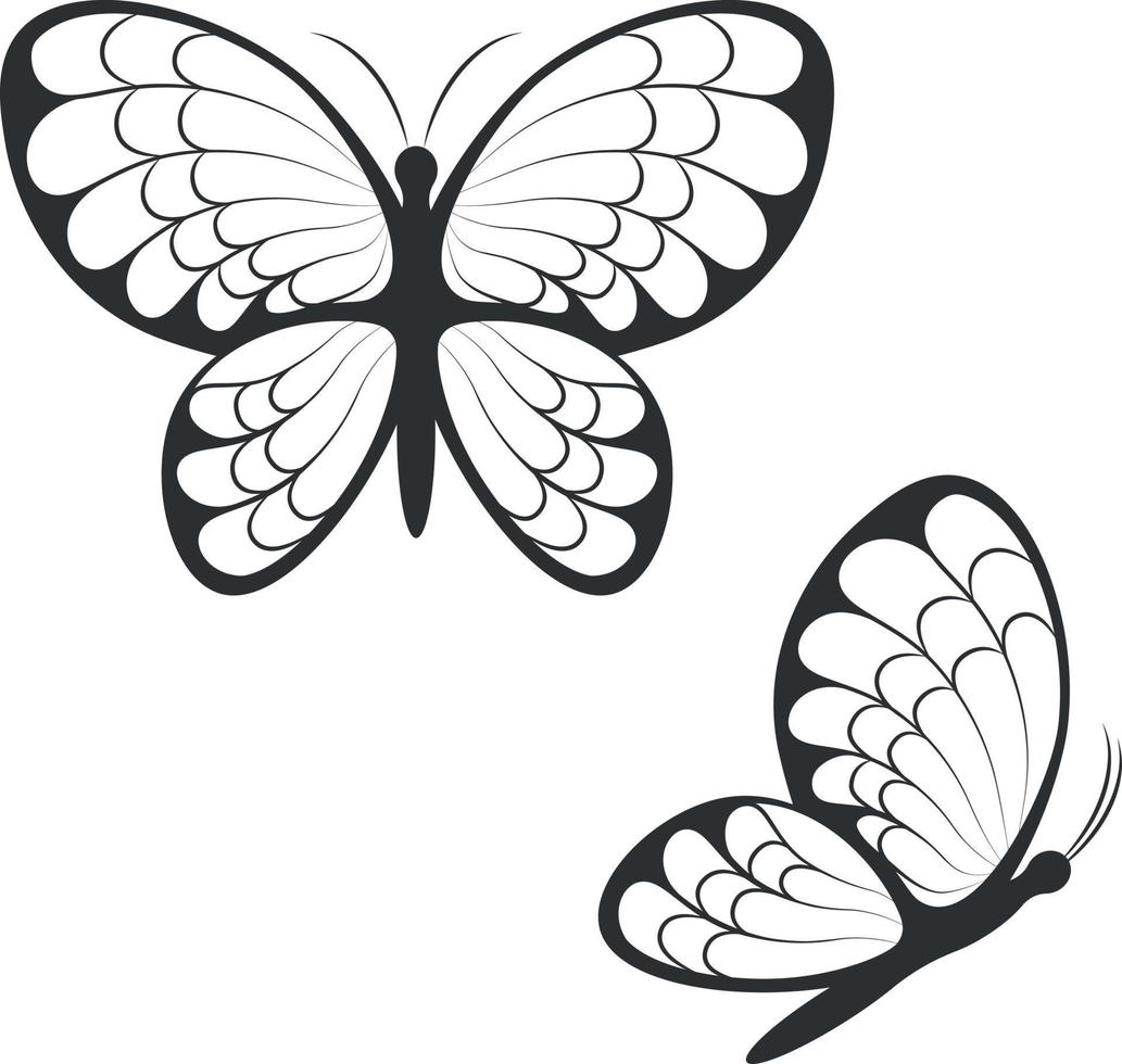 Silhouette von Schmetterlingen. Bild der schönen Schmetterlinge von oben und von der Seite. eine helle Motte. Vektor-Illustration isoliert auf weißem Hintergrund vektor