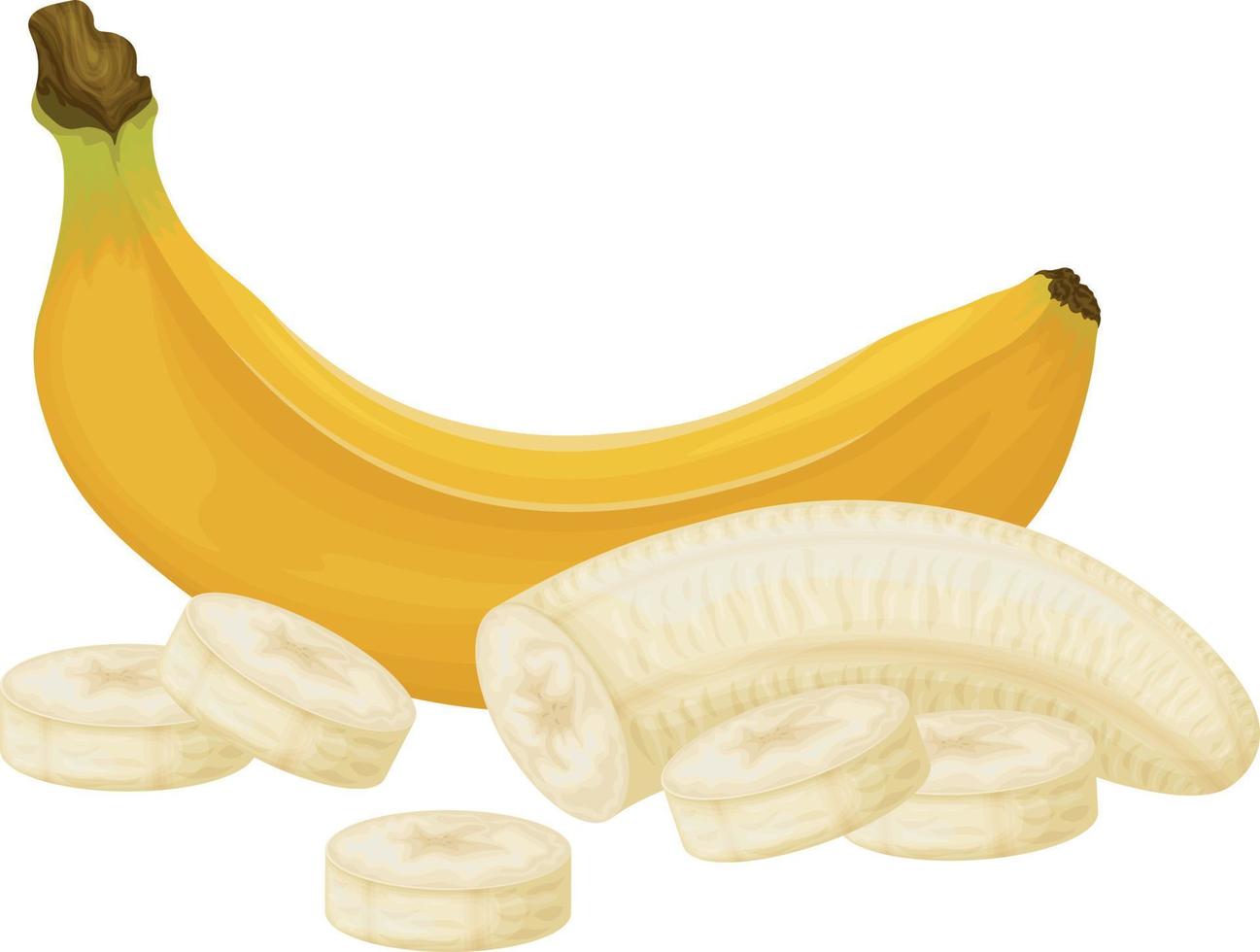Bananen. Bild von Bananen. Bananen geschält und in Stücke geschnitten. Tropische Frucht. Vegetarisches Produkt. Vektor