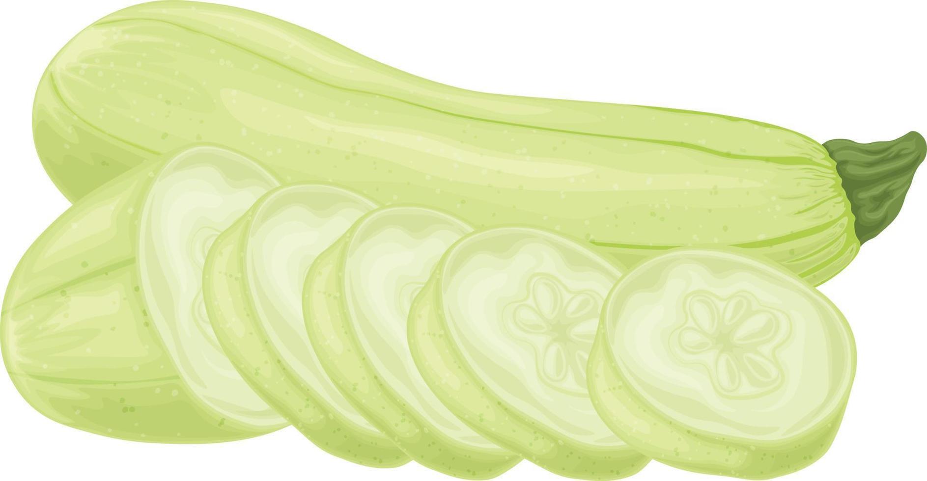 zucchini. bild av skivad zucchini. vegetarian vegetabiliska från de trädgård. bruka grönsaker. vektor illustration isolerat på en vit bakgrund