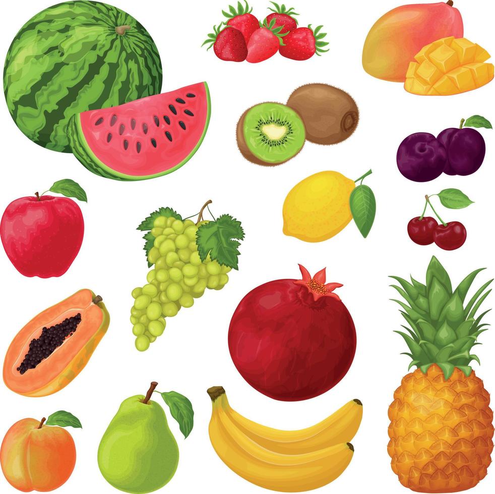 frukt.a stor samling av frukt sådan som vattenmelon, jordgubbe, kiwi, mango, äpple och också vindruvor, citron- plommon, körsbär och tropisk frukter. en stor uppsättning med frukt. vektor. vektor