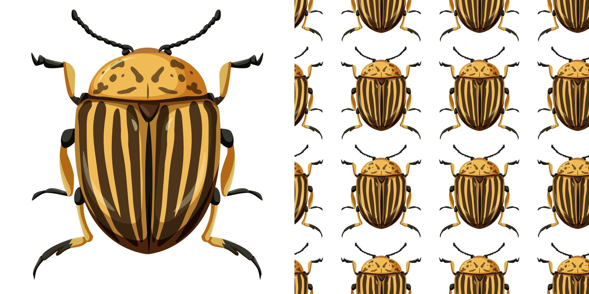 Colorado Käfer Insekt und nahtloser Hintergrund vektor