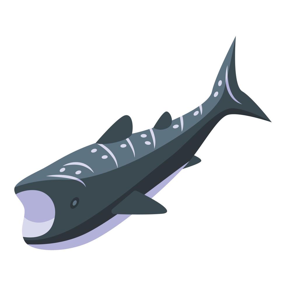 val haj djur- ikon isometrisk vektor. fisk hav vektor