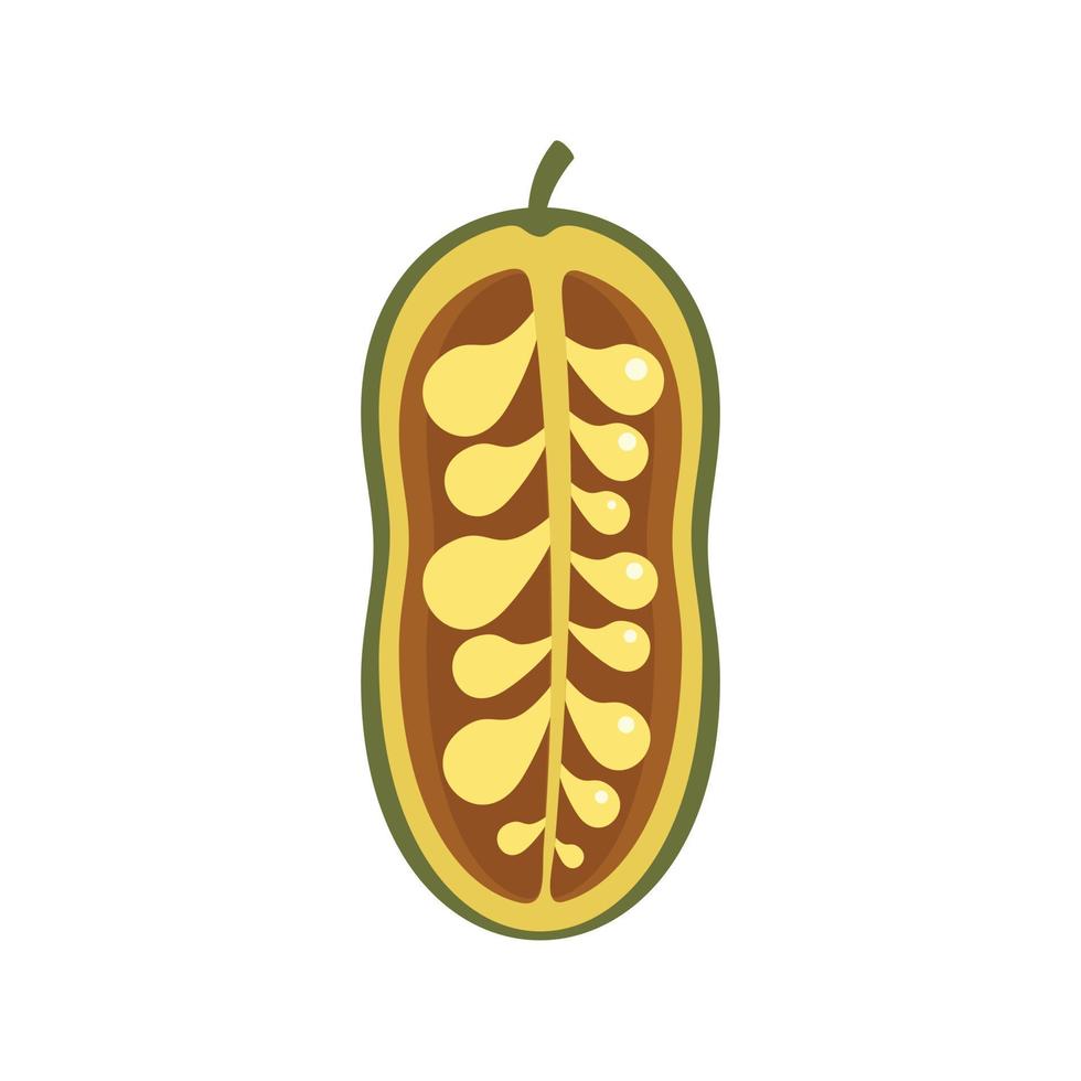 Jackfruit-Symbol flach isolierter Vektor