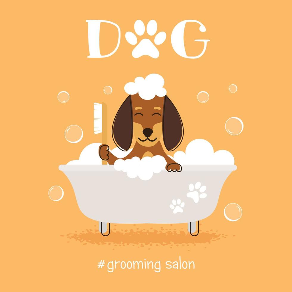 hund grooming salong vektor illustration