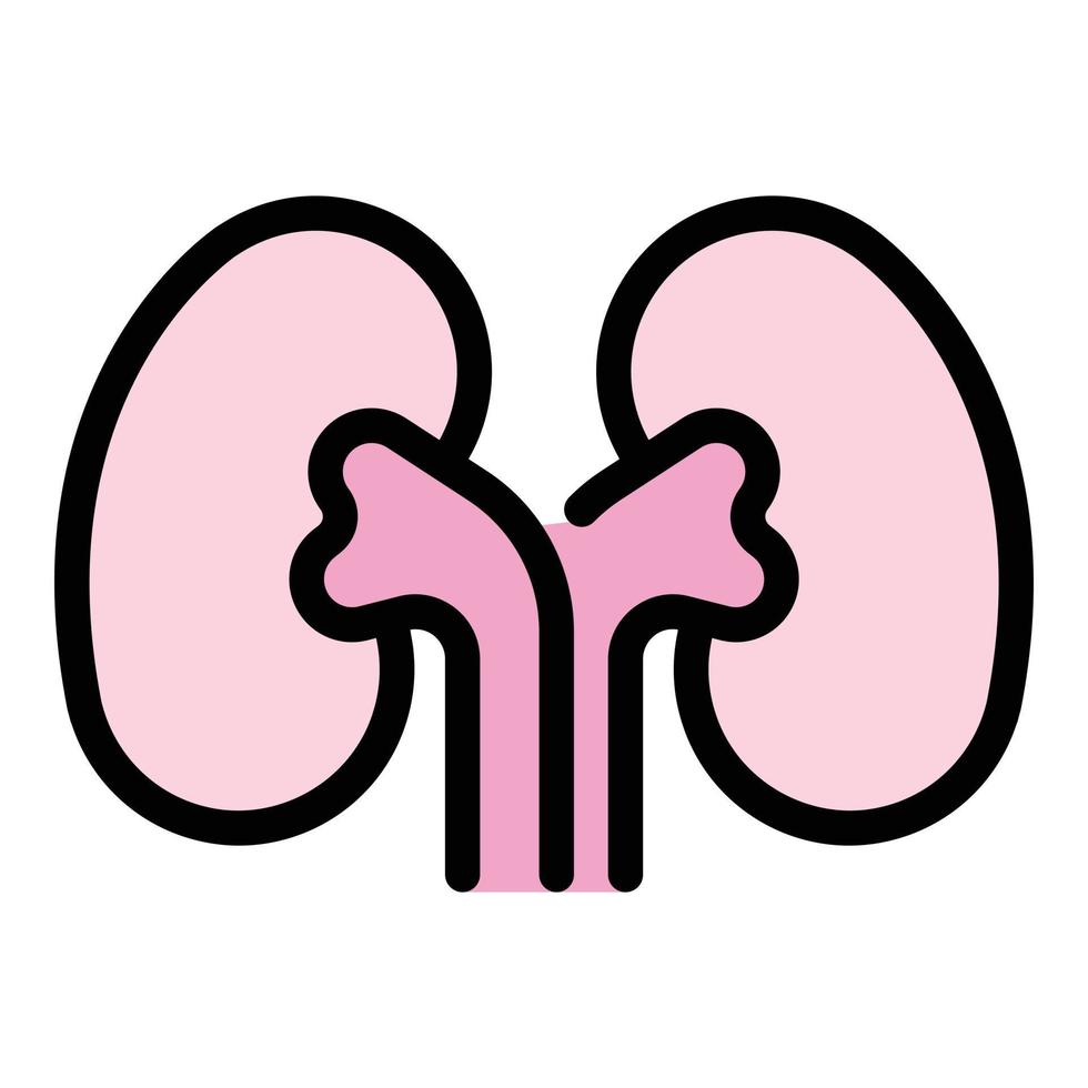 organ njure ikon Färg översikt vektor