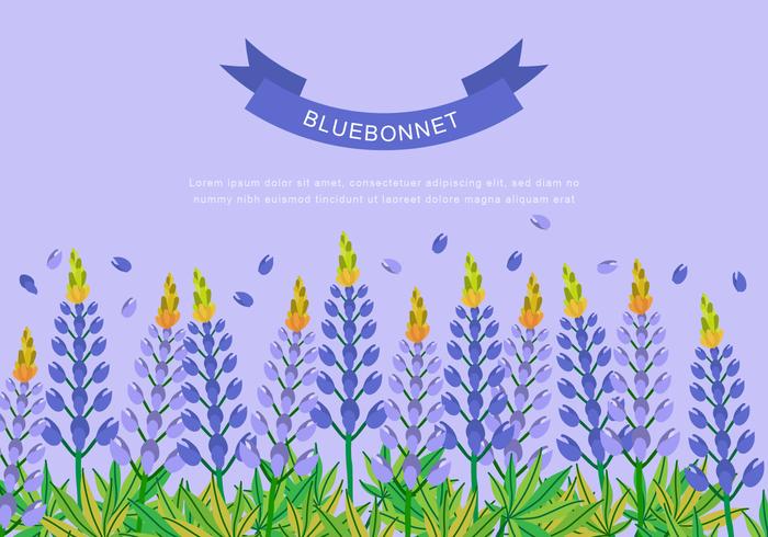 Bluebonnet für Hintergrunddesign vektor