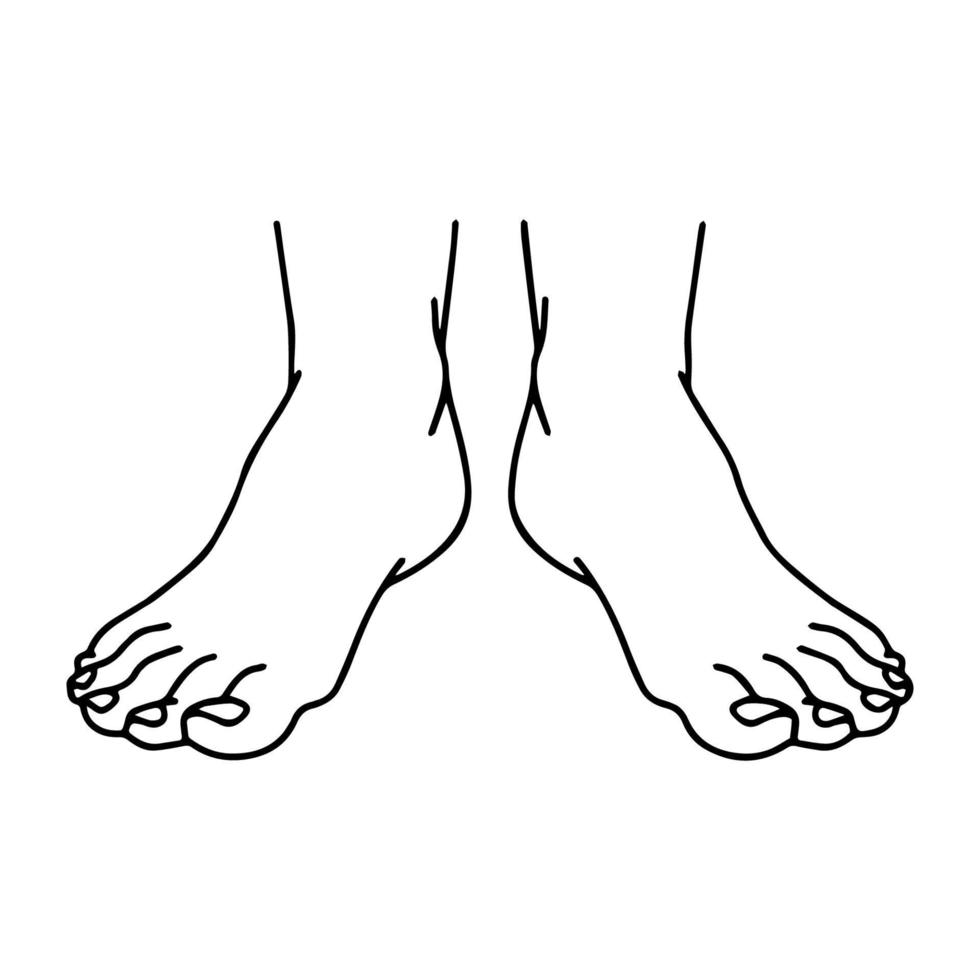 Vektor-Cartoon-Umriss, Draufsicht auf den linken und rechten Fuß des Menschen. handgezeichnet linear skizzenhaft. Sie können dieses Bild für Modedesign usw. verwenden. vektor