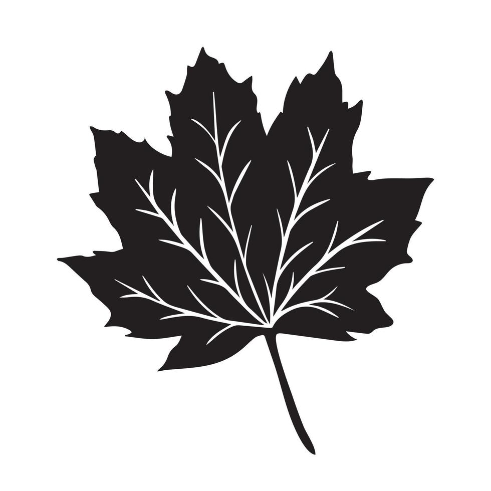 lönn blad svart vektor ikon silhuett isolerat på vit bakgrund. piktogram av flora botanisk blad kan vara hittades på falla säsong teckning med enkel platt former.