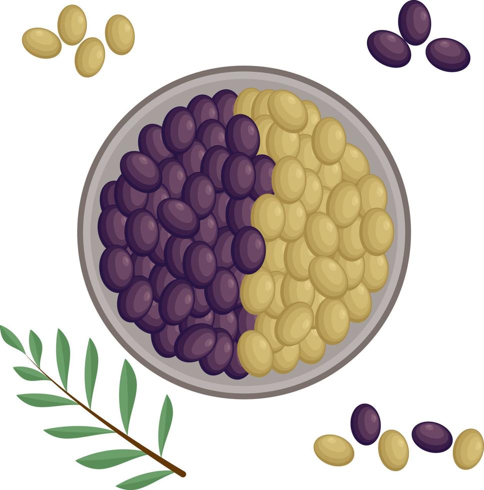 grön och svart mogen oliver lögn på en runda tallrik, Nästa till ett oliv gren med grön löv, oliver lögn runt om de tallrik. medelhavs kök. vektor illustration isolerat på vit bakgrund.