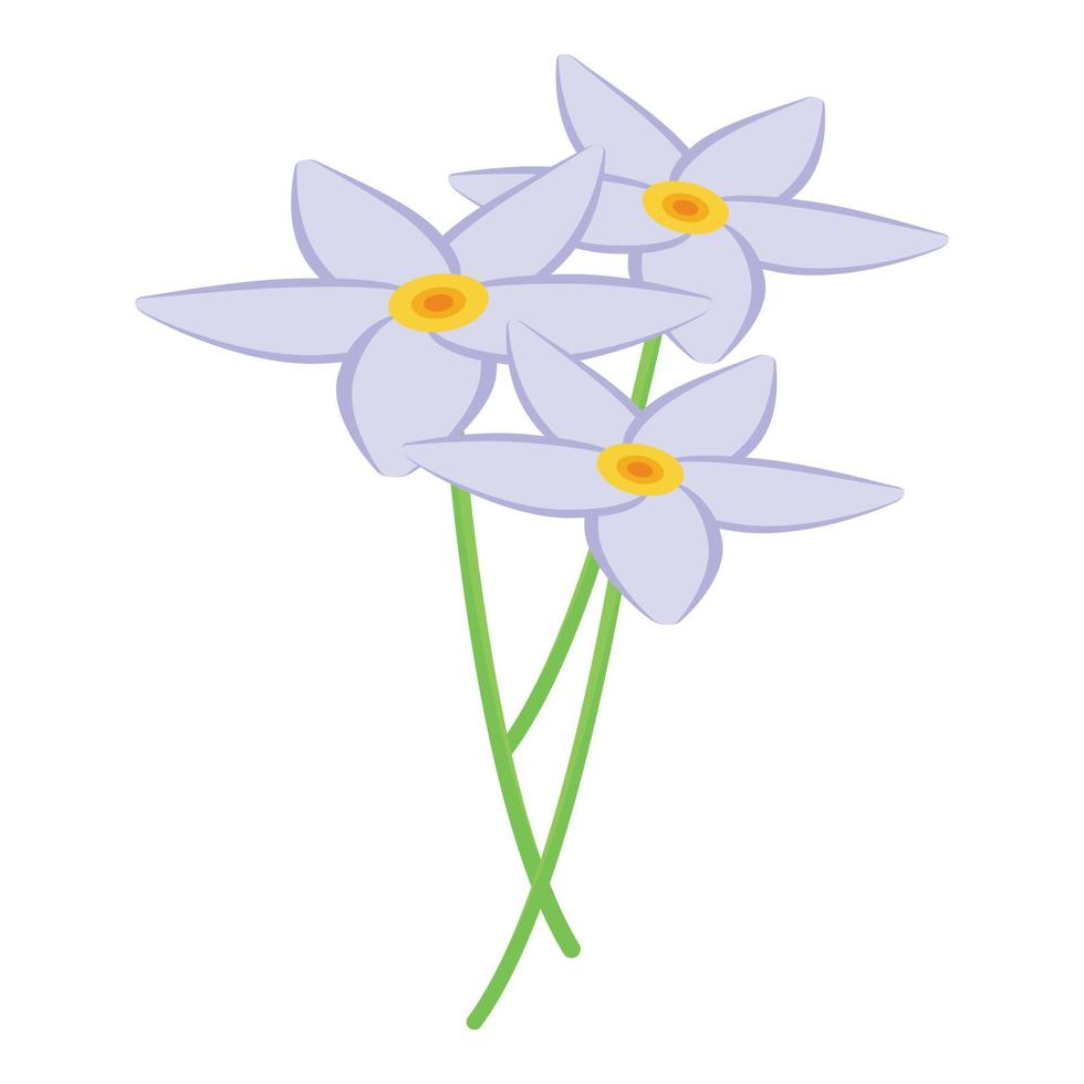 nicaragua blomma ikon isometrisk vektor. resa dag vektor