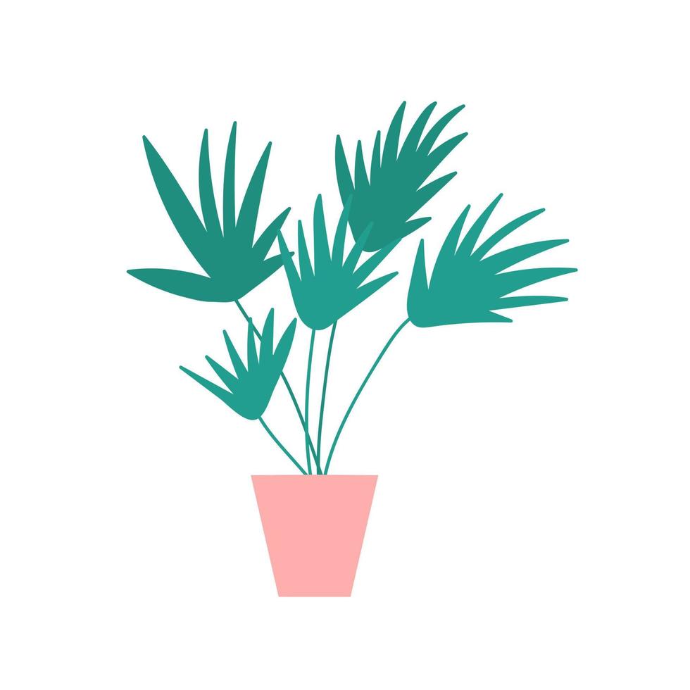 Zimmerpflanze-Vektor-Illustration. Wohnungspflanze ClipArt im flachen Stil vektor