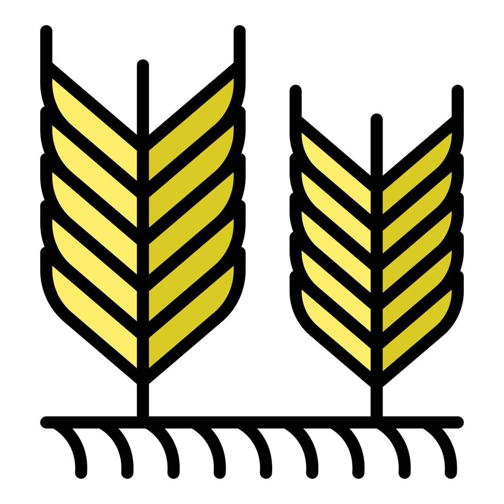 Bauernhof Feld Weizen Symbol Farbe Umriss Vektor