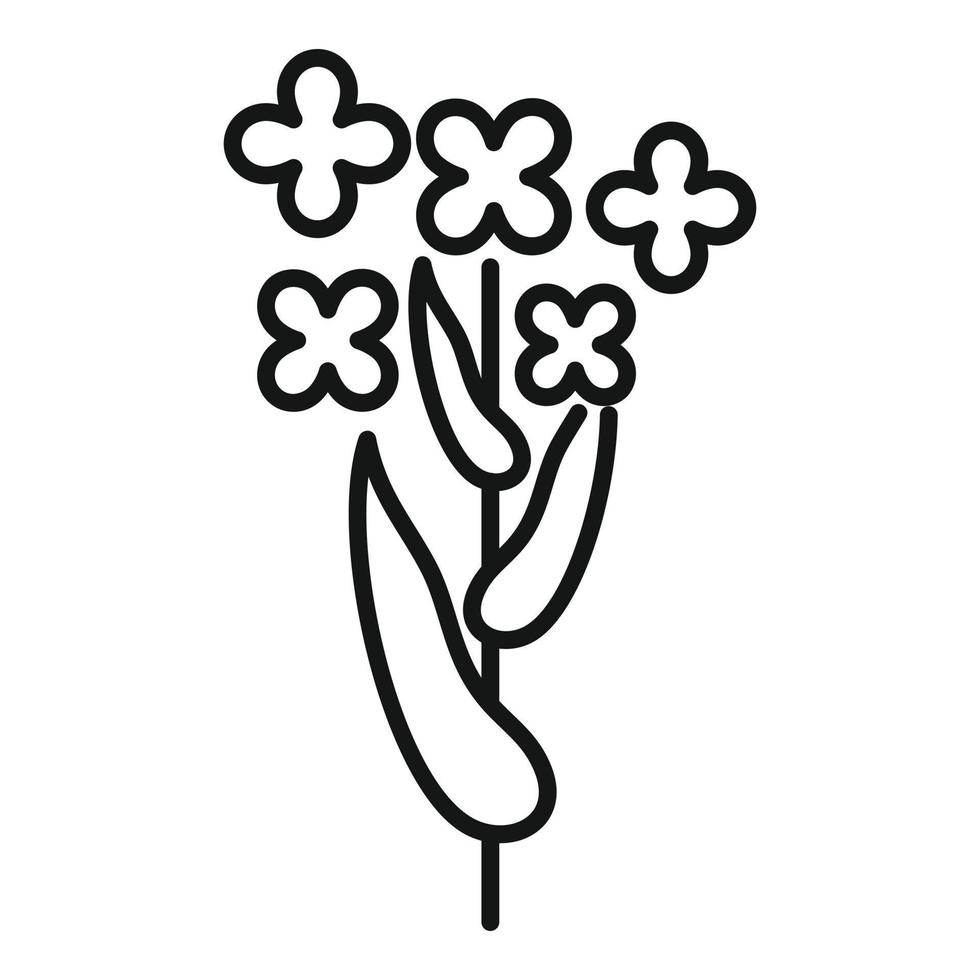 Rapsfeldpflanze Symbol Umrissvektor. Öl Blume vektor