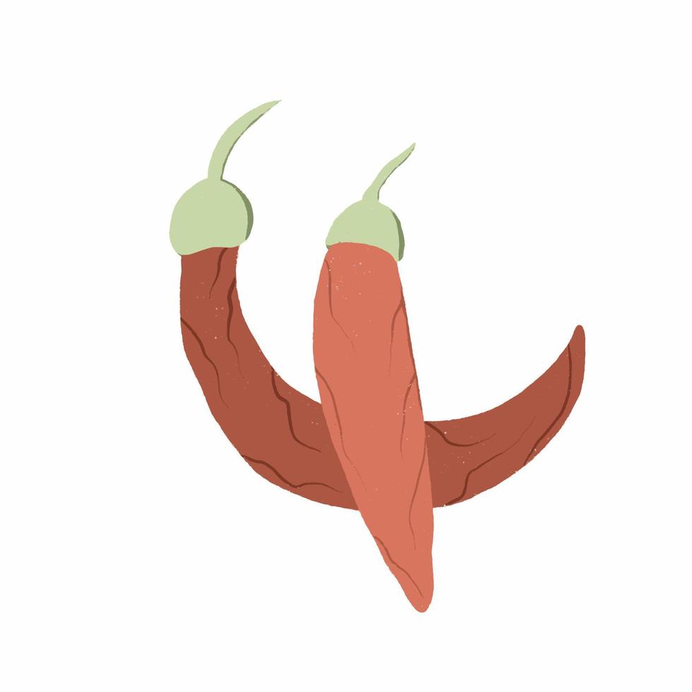 Reife rote scharfe Chilischoten Gemüse vektor