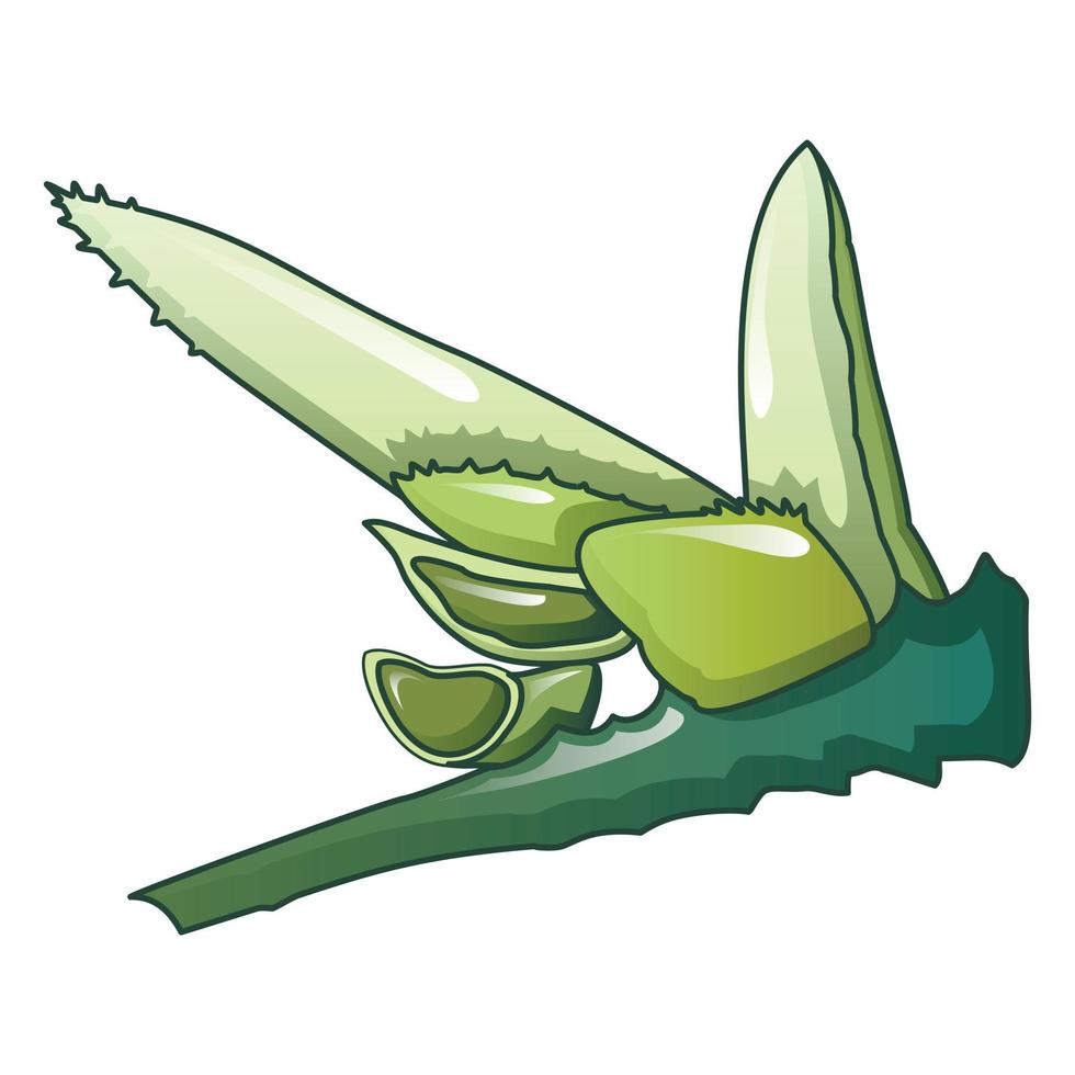 Aloe-Vera-Blatt-Symbol, Cartoon-Stil vektor