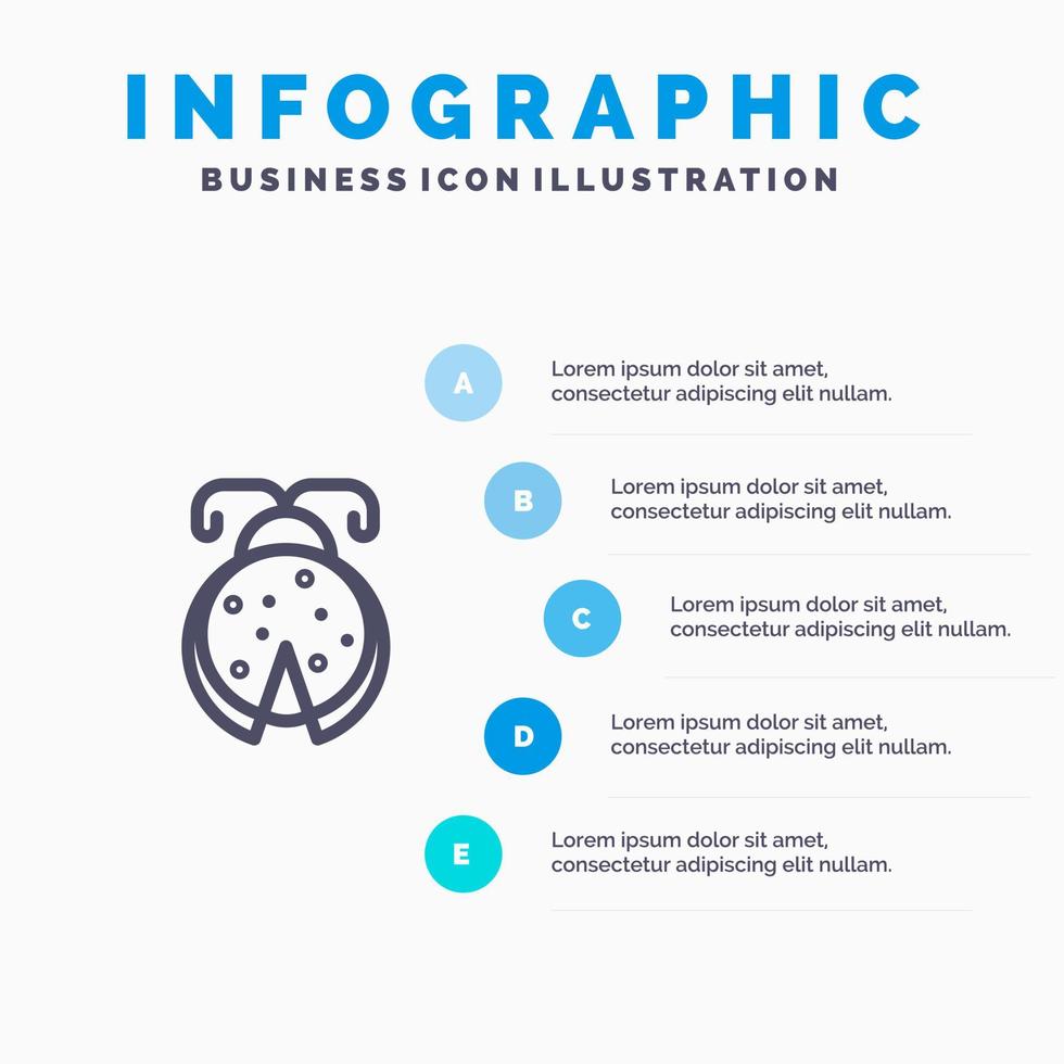 skalbagge insekt nyckelpiga nyckelpiga linje ikon med 5 steg presentation infographics bakgrund vektor