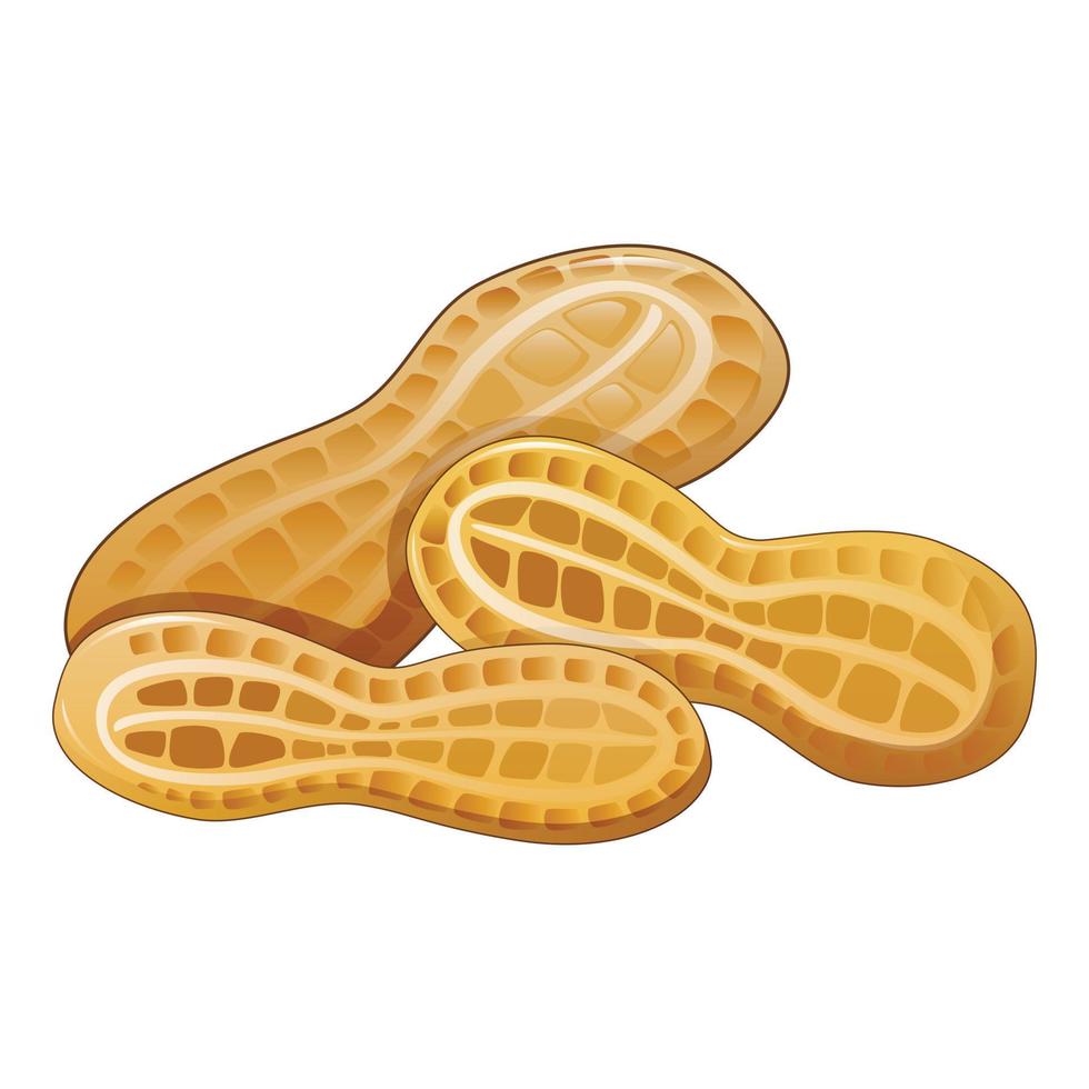 Erdnuss in Shell-Symbol, Cartoon-Stil vektor