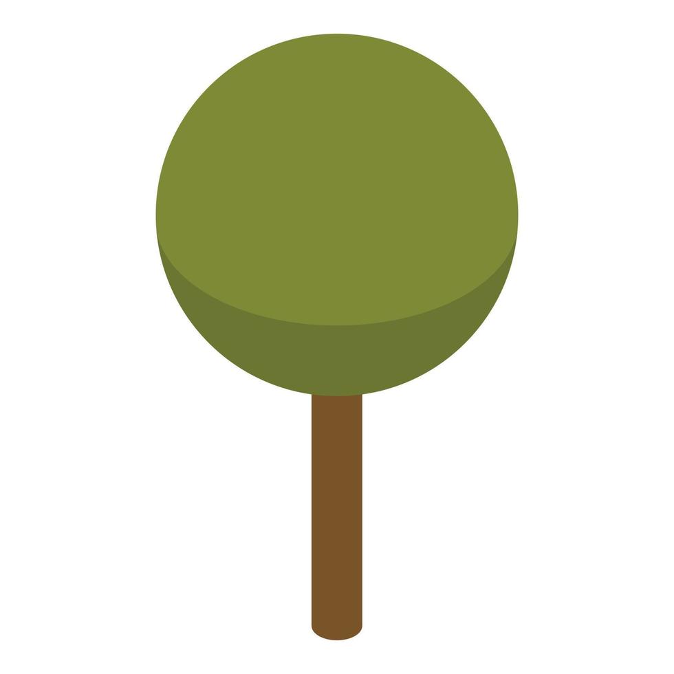 grüne Pflanzenbaum-Ikone, isometrischer Stil vektor