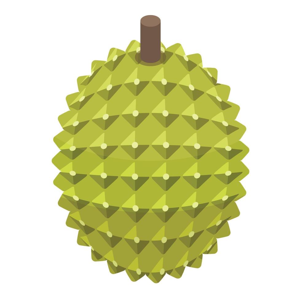 ganze durian-ikone, isometrischer stil vektor