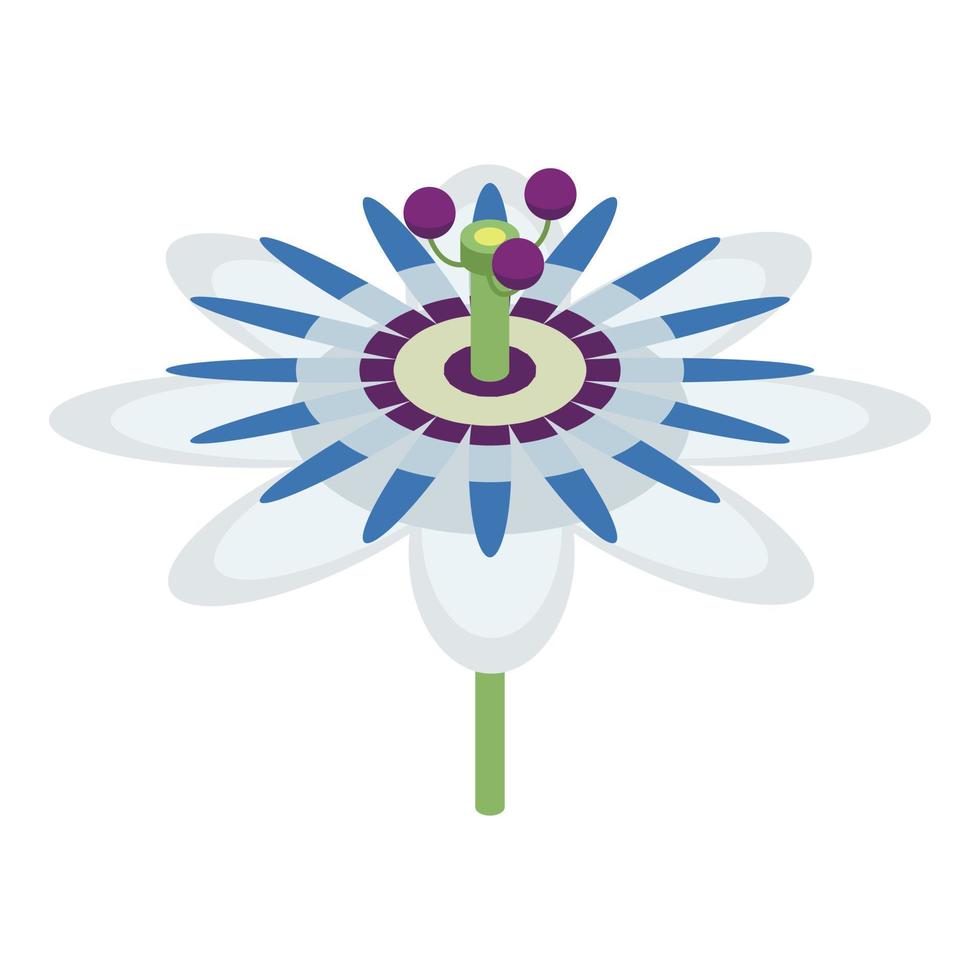 maracuja blomma ikon, isometrisk stil vektor